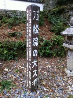 万松院13.jpg