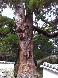 万松院14.jpg