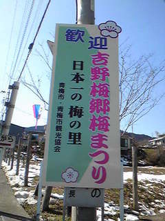 吉野梅郷1.jpg