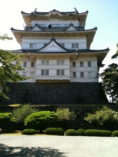 小田原城.jpg