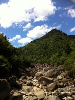 屋久島15.jpg