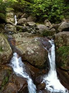 屋久島7.jpg