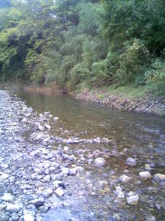 巾着田.jpg