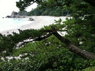 高知県3.jpg