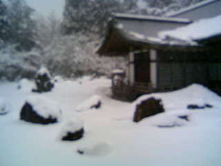 高野山3.jpg